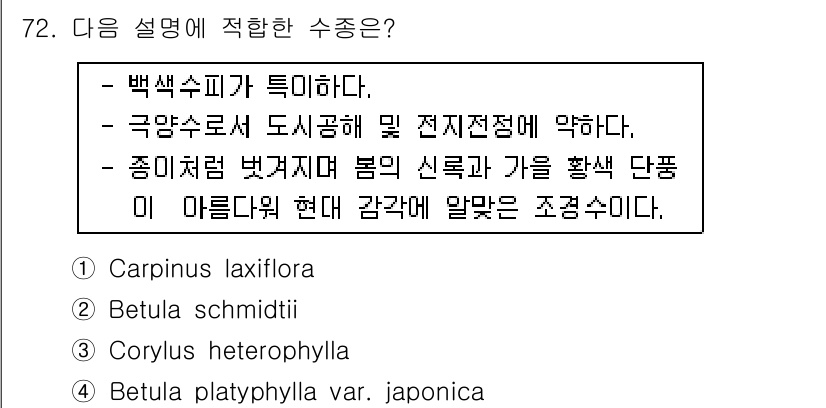 조경기사 2017년 73번 - 정답 4번은 'Betula platyphylla var. japonica... 에 관한 핵심 기출문제