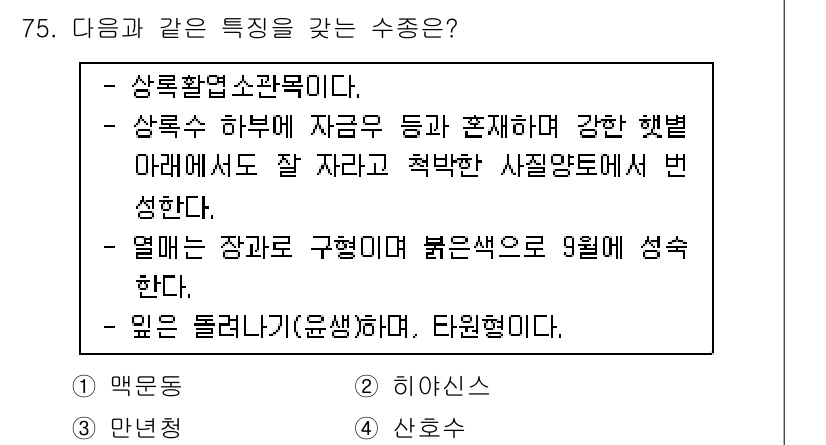 조경기사 2017년 76번 - . 

상록활엽소관목은 사계절 내내 잎을 유지하며, 겨울철에도 강한 햇빛... 에 관한 핵심 기출문제