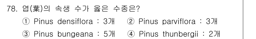 조경기사 2017년 79번 - 정답은 3번 Pinus bungena입니다. Pinus bungena는 ... 에 관한 핵심 기출문제