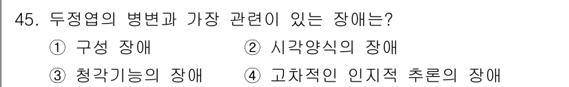 임상심리사_2급 2017년 45번 - . 청각 기능의 장애는 두정엽과 관련된 인지 처리 및 공간적 인식 능력에... 에 관한 핵심 기출문제