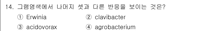 식물보호기사 2016년 14번 - . Acidovorax는 그람마다 세 개의 나미지 세균 중 하나로, 일반... 에 관한 핵심 기출문제