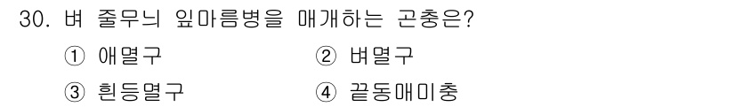 식물보호기사 2016년 30번 - 버 줄무늬의 억미름병을 막는 고충은 '버멸구'입니다. 이 해충은 세균성 ... 에 관한 핵심 기출문제