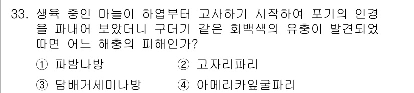 식물보호기사 2016년 33번 - . 

정답인 이유: 생육 중인 마늘이 고사하기 시작하며 포기의 인경이 ... 에 관한 핵심 기출문제