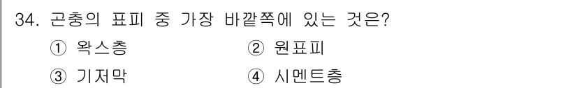 식물보호기사 2016년 34번 - 정답은 3번 기지막입니다. 이는 곤충의 특정 구조인 기지막이 다른 구조들... 에 관한 핵심 기출문제