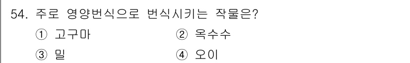 식물보호기사 2016년 54번 - 주요 영양변식으로 번식하는 작물은 '옥수수'입니다. 옥수수는 주로 성숙한... 에 관한 핵심 기출문제