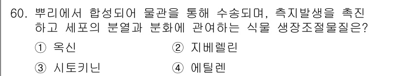 식물보호기사 2016년 60번 - . 옥신  
옥신은 식물의 성장 및 발달 조절에 중요한 역할을 하며, 물... 에 관한 핵심 기출문제