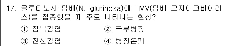 식물보호기사 2017년 17번 - N. glutinosa에 TMV를 접종하면 주로 병징이 나타나는 형태로,... 에 관한 핵심 기출문제