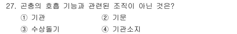 식물보호기사 2017년 27번 - 4. 기관소지는 고사리 과 같은 식물에서 나타나는 구조로, 곤충의 호흡 ... 에 관한 핵심 기출문제