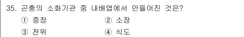 식물보호기사 2017년 35번 - 정답은 4번 '식도'입니다. 곤충의 소화기관 중 내배엽에서 형성되는 기관... 에 관한 핵심 기출문제