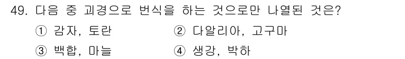 식물보호기사 2017년 49번 - 생강과 박하는 모두 생강과에 속하며 이는 같은 계통으로 분류되지만, 나머... 에 관한 핵심 기출문제