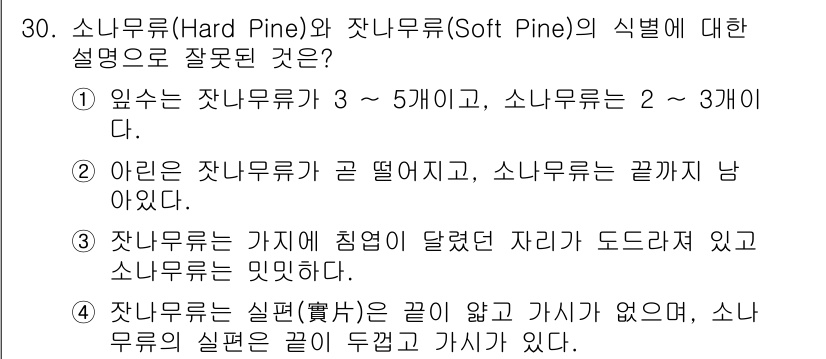 조경산업기사 2015년 30번 - 정답 5번이 잘못된 이유는 소나무류의 실록은 끝이 뾰족하다는 점입니다. ... 에 관한 핵심 기출문제