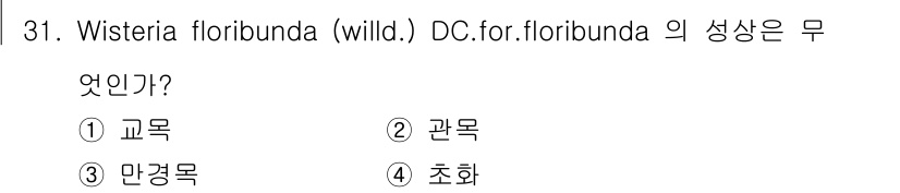 조경산업기사 2015년 31번 - Wisteria floribunda는 일본의 대표적인 덩굴식물로, 주로 ... 에 관한 핵심 기출문제