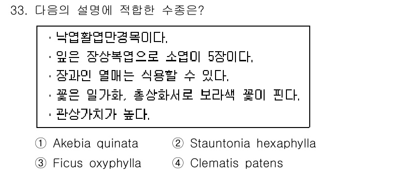 조경산업기사 2015년 33번 - 해당 설명은 'Akebia quinata'에 적합합니다. 이 식물은 덩굴... 에 관한 핵심 기출문제