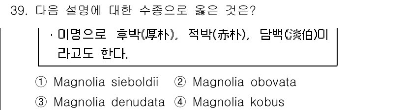 조경산업기사 2015년 39번 - 정답 2. 적백(赤白)은 백색과 적색의 꽃을 가진다는 의미로, 'Magn... 에 관한 핵심 기출문제