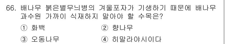 조경산업기사 2015년 66번 - 배나무와 가까이 식재하면 해충이나 병해가 발생할 수 있어 다른 수목과의 ... 에 관한 핵심 기출문제