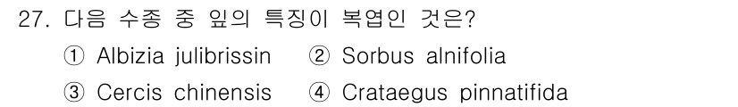조경산업기사 2016년 27번 - 정답은 4. Crataegus pinnatifida입니다. 이 식물은 특... 에 관한 핵심 기출문제
