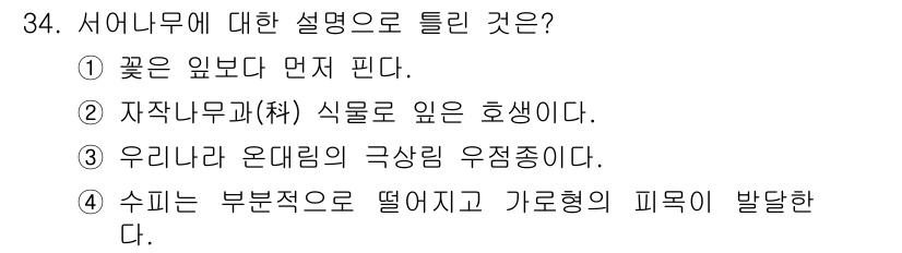 조경산업기사 2016년 34번 - 수피는 나무의 외부 표면으로, 일반적으로 나무의 중심인 심재와는 다르게 ... 에 관한 핵심 기출문제