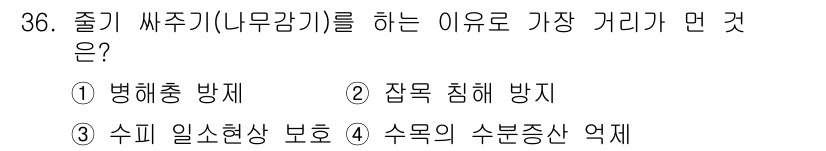 조경산업기사 2016년 36번 - . 수목의 수분증산 억제

줄기 싸구지(나무막기)는 수목의 수분증산을 억... 에 관한 핵심 기출문제