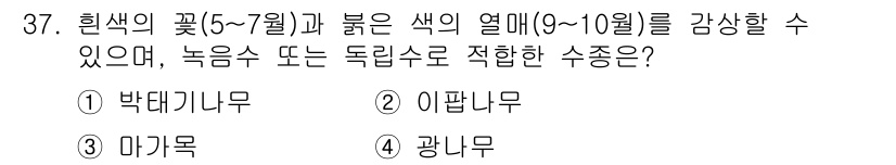 조경산업기사 2016년 37번 - . 이팝나무  
이팝나무는 봄철에 흰색 꽃이 만개하고, 가을철에는 붉은색... 에 관한 핵심 기출문제