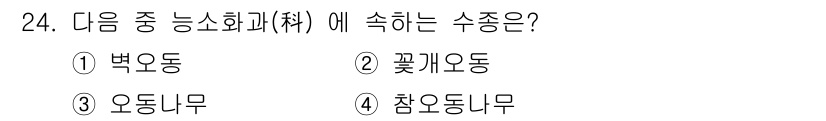 조경산업기사 2017년 24번 - 참오동은 느소화배에 속하는 수종으로, 온대 지역에서 자생하며 내한성이 강... 에 관한 핵심 기출문제