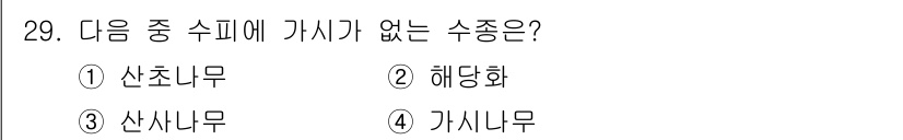 조경산업기사 2017년 29번 - 정답은 4. 가시나무입니다. 산초나무, 해당화, 산사나무는 모두 조경에서... 에 관한 핵심 기출문제