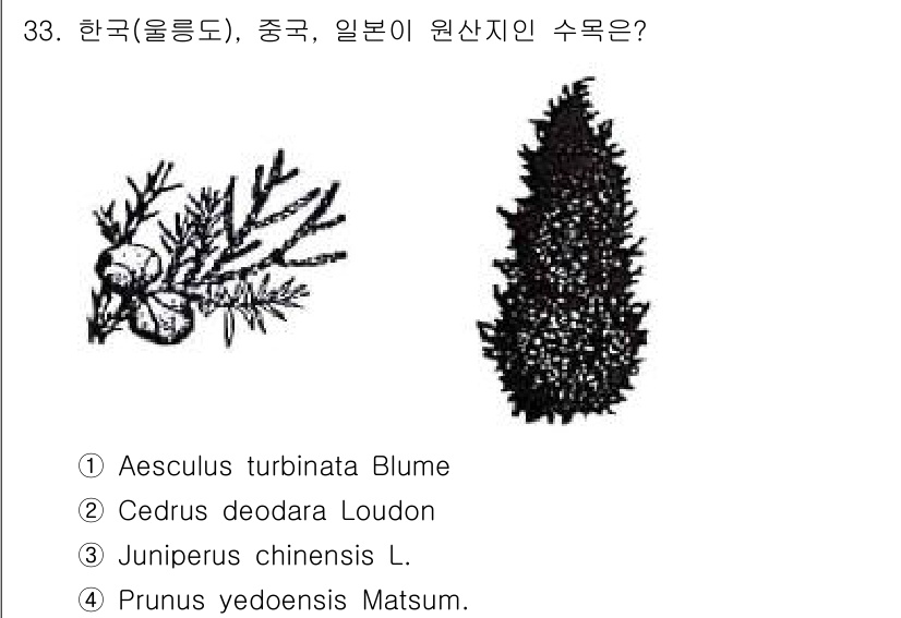 조경산업기사 2017년 33번 - . Juniperus chinensis L. 

이 식물은 한국, 중국,... 에 관한 핵심 기출문제