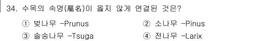 조경산업기사 2017년 34번 - 정답은 4. 전나무(Larix)입니다. 전나무는 주로 침엽수과에 속하며,... 에 관한 핵심 기출문제