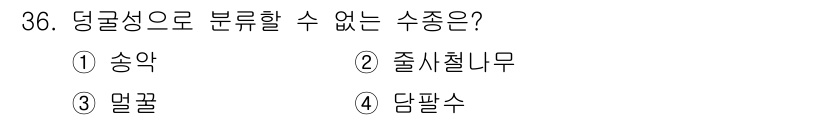조경산업기사 2017년 36번 - 정답은 4번 담팔수입니다. 담팔수는 5각형 구조를 가지지 않아서 등굴성 ... 에 관한 핵심 기출문제