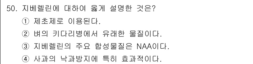 종자기사 2016년 50번 - . 지베렐린은 식물 생장 조절 물질로, 주로 씨앗의 발아와 관련이 있다.... 에 관한 핵심 기출문제