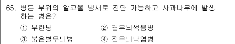 종자기사 2016년 65번 - . 부란병

부란병은 병든 부위의 알콜을 냄새로 진단할 수 있으며, 사과... 에 관한 핵심 기출문제