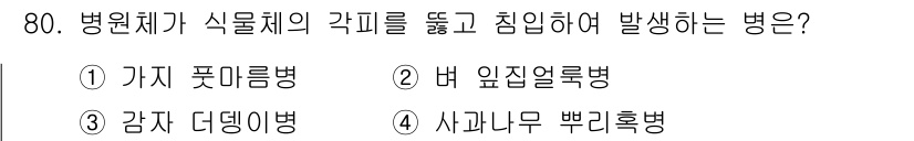 종자기사 2016년 80번 - . 감자 딩잉병

감자 딩잉병은 병원체가 식물체의 각피를 뚫고 침입하여 ... 에 관한 핵심 기출문제