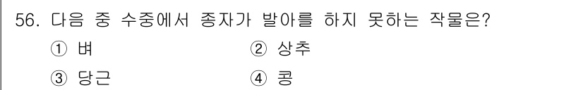 종자기사 2017년 56번 - 정답은 3. 당근입니다. 당근은 주로 뿌리 채소로, 종자가 아닌 뿌리에서... 에 관한 핵심 기출문제