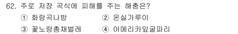 종자기사 2017년 62번 - 주로 저장 곡식에 피해를 주는 해충은 5번 아메리카제풀리입니다. 이 해충... 에 관한 핵심 기출문제