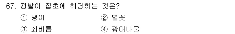 종자기사 2017년 67번 - . **냉이**

해설: 광발은 광합성을 통해 에너지를 생산하는데 필수적... 에 관한 핵심 기출문제