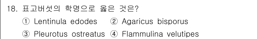 버섯종균기능사 2015년 18번 - 정답은 ③ Pleurotus ostreatus입니다. 표고버섯은 주로 기... 에 관한 핵심 기출문제