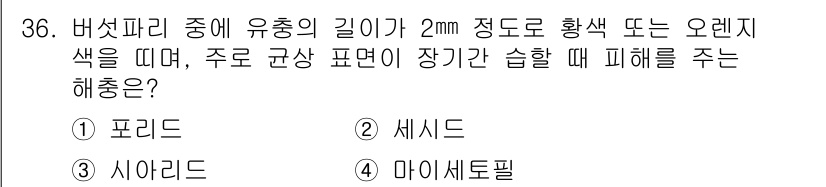 버섯종균기능사 2015년 36번 - 정답은 2번 세시드입니다. 버섯의 유종 길이가 2mm 정도로 황색 또는 ... 에 관한 핵심 기출문제