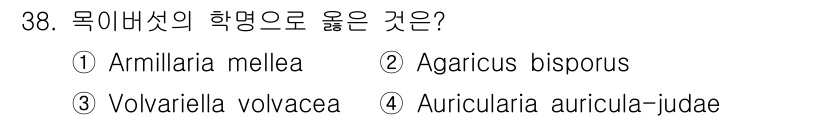 버섯종균기능사 2015년 38번 - Auricularia auricula-judae는 목이버섯의 학명으로, ... 에 관한 핵심 기출문제