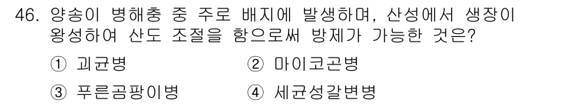 버섯종균기능사 2015년 46번 - . 괴경병  
해설: 괴경병은 주로 배지에 발생하며, 산성 환경에서 병원... 에 관한 핵심 기출문제