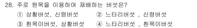 버섯종균기능사 2016년 28번 - 주로 원목을 이용하여 재배하는 버섯은 ‘느타리버섯’과 ‘신령버섯’입니다.... 에 관한 핵심 기출문제