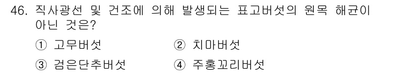 버섯종균기능사 2016년 46번 - 정답은 2. 치마버섯입니다. 치마버섯은 독성이 있으며, 고무버섯, 검은단... 에 관한 핵심 기출문제