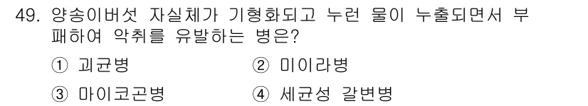 버섯종균기능사 2016년 49번 - 정답은 3번 마이코균병입니다. 양송이버섯 자실체가 기형화되면 물이 누출되... 에 관한 핵심 기출문제