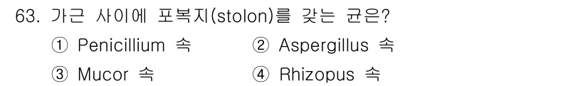 식품산업기사 2015년 63번 - 정답은 4번 Rhizopus 속이다. Rhizopus 속은 포복지(sto... 에 관한 핵심 기출문제