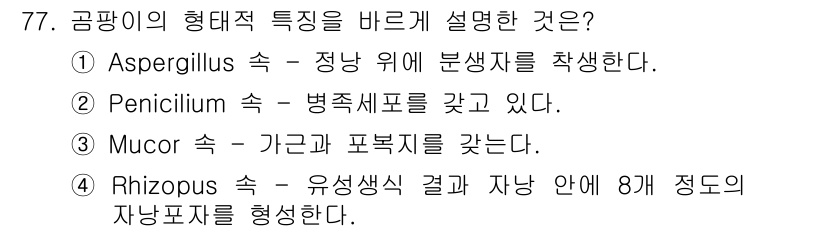 식품산업기사 2016년 78번 - . Aspergillus 속은 장내에서 분해 효소를 생산하여 식품의 발효... 에 관한 핵심 기출문제