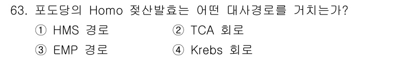 식품산업기사 2017년 63번 - Homo의 젖산 발효 과정은 EMP 경로에 해당합니다. EMP 경로는 포... 에 관한 핵심 기출문제