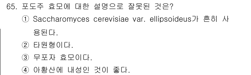 식품산업기사 2017년 65번 - . 

해설: 무프톨 효모는 주로 당분의 발효에 관여하는 효모 종으로, ... 에 관한 핵심 기출문제