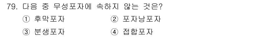 식품산업기사 2017년 79번 - 정답은 4번 집합포자입니다. 집합포자는 여러 생식세포의 집합 형태로, 무... 에 관한 핵심 기출문제