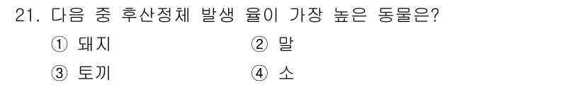축산기사 2015년 21번 - 정답은 4번 소입니다. 소는 ruminant(되새김질하는 동물)으로, 축... 에 관한 핵심 기출문제