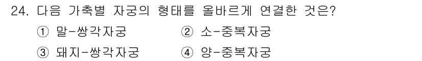 축산기사 2015년 24번 - 올바른 연결은 "돼지-쌍태자궁"으로, 돼지는 다산성이 높기 때문에 쌍태를... 에 관한 핵심 기출문제