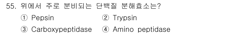 축산기사 2015년 55번 - 위에서 주로 분비되는 단백질 분해효소는 Pepsin입니다. Pepsin은... 에 관한 핵심 기출문제