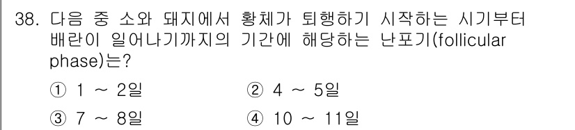 축산기사 2016년 38번 - 돼지의 난포기(follicular phase)는 황체가 퇴행하면서 난포의... 에 관한 핵심 기출문제